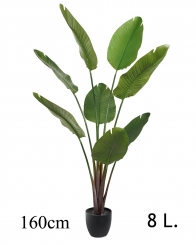 009 Veštačka stabla banane